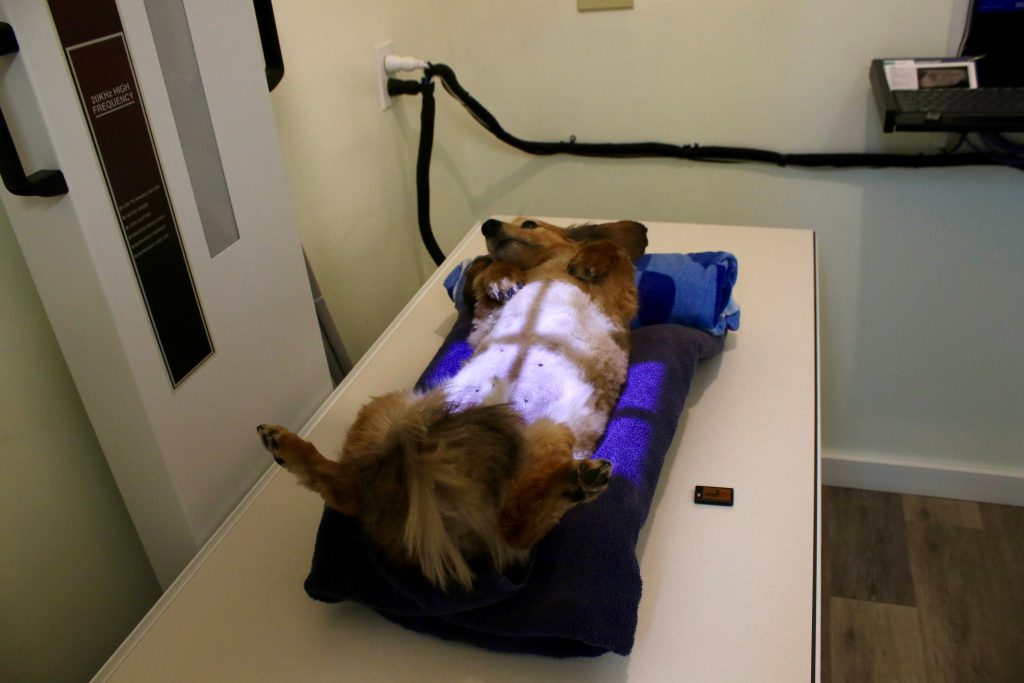 Sick Exams in Earlton